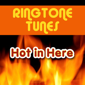 Ringtone Track Masters - Cleanin' Out My Closet