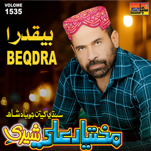 Mukhtiyar Ali Sheedi - Visary