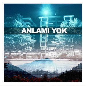 Anlamı Yok