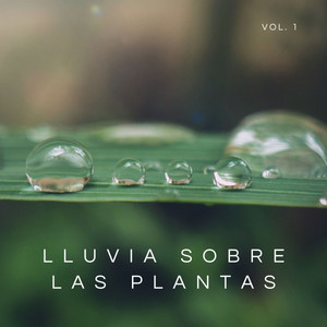 Lluvia Sobre Las Plantas Vol. 1 album