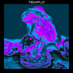 Impact Pending by Templo