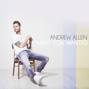 What You Wanted by Andrew Allen