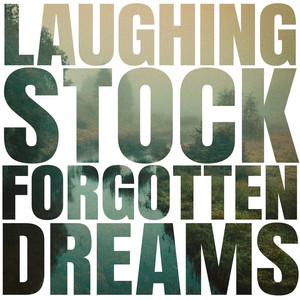 Midnight Air by Laughing Stock