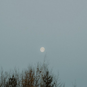 Moon, Lullaby for K by Benjamin Torrens