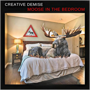 Moose in the Bedroom
