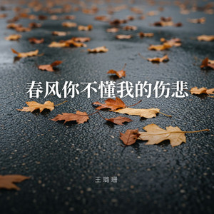 春风你不懂我的伤悲（女版） by 王璐珊