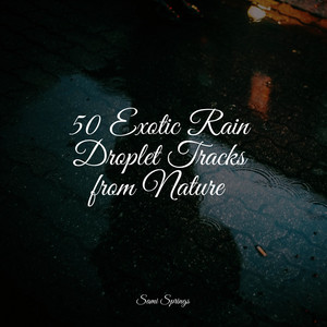 50 Exotic Rain Droplet Tracks from Nature album