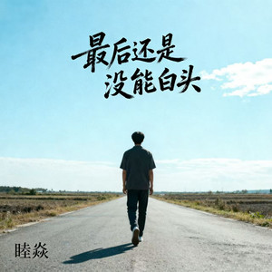 最后还是没能白头
