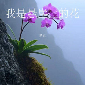 我是悬崖上的花 by 梦姐