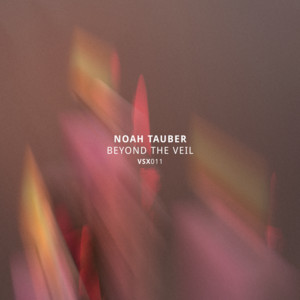 MV25 by Noah Tauber, Vault Records