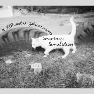 Smartness Simulation