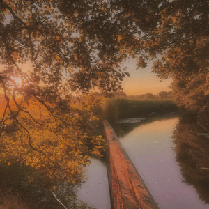 november by Giraselle