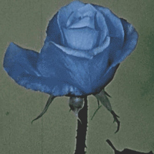 lo mal que me haces by WC Music