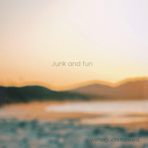 Junk and fun