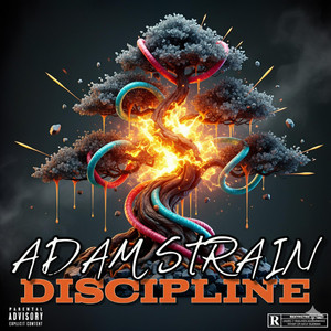 Discipline III by Adam Strain, Solar Punch
