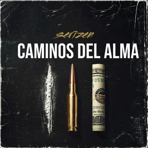 CAMINOS DEL ALMA by SERIZEN