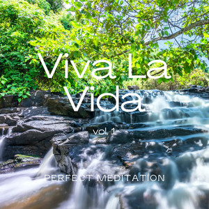 2022 Viva La Vida Vol. 1 album