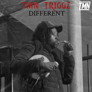 Mansa - Part 2 Album Version by TMN TRIGGZ