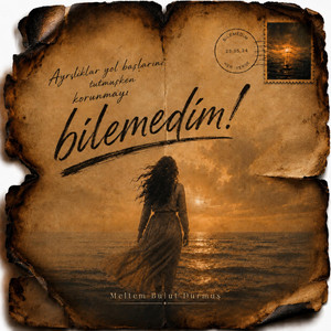Bilemedim by Meltem Bulut Durmuş
