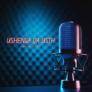 Ghulam Aseer - Ust Assety