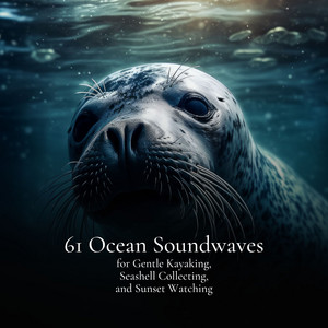 61 Ocean Soundwaves for Gentle Kayaking, Seashell Collecting, and Sunset Watching