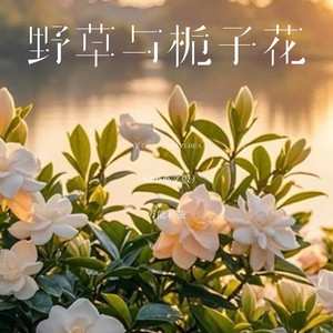野草与栀子花 - R&B英文版 by 万能和弦