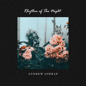 Rhythm Of The Night