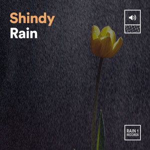 Shindy Rain album