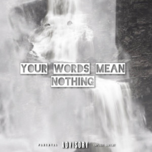 SLM - Your Words Mean Nothing