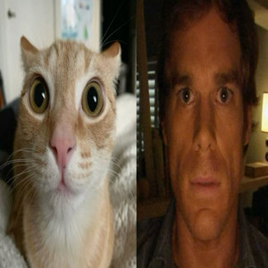 Leonsh2k & YungNesk - Eu Imagino Se Rita Está Vendo Esse Luar