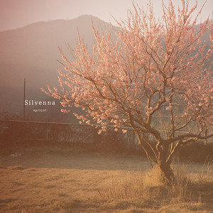 Apricot by Silvenna