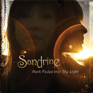 Dark Fades Into The Light cover