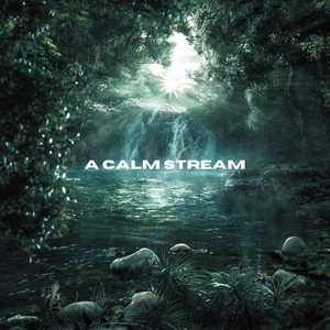 A Calm Stream