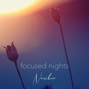 focused nights by Narikae