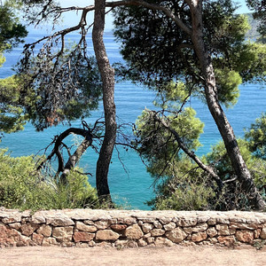 Mediterrania by Eduard Prost