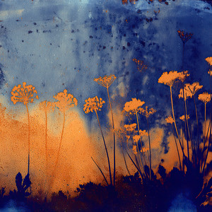 Slow Dawn by Sundown Mindscape