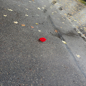 Jesień by STEISI