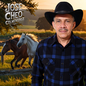 A Donde Quedó Tu Orgullo by Jose Cheo Colmenarez