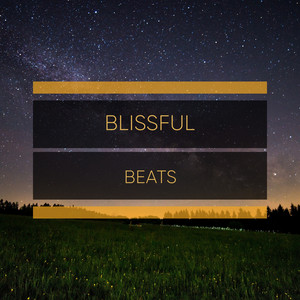 # 1 Album: Blissful Beats album