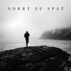 Sorry Zu Spat by Joel Port