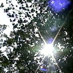 Light of Day by Waterbed