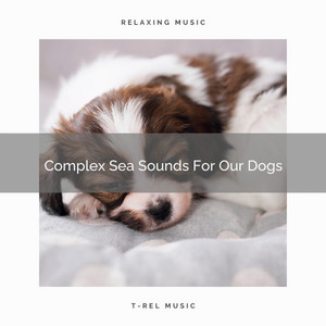 Complex Sea Sounds For Our Dogs album