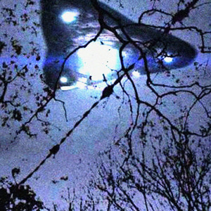 Survive The Night (Slowed + Reverb) by Lucidity Slowed + Reverb