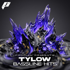 Bassline Hits by Tylow