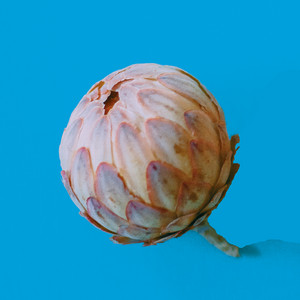 Something Wrong artist photo