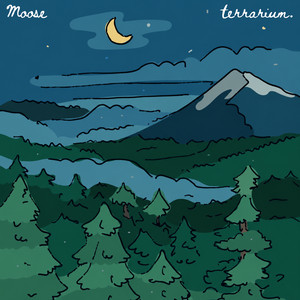 forest feelings by Moose, terrarium.