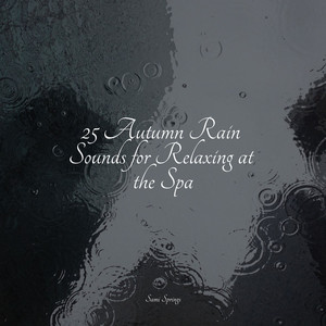 25 Autumn Rain Sounds for Relaxing at the Spa album