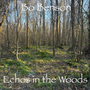 One Life - Country Version by Bo Benson