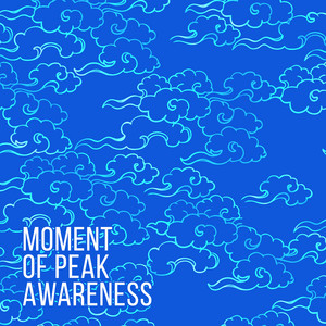 Moment of Peak Awareness: Listen to Your Mind with Buddhist Meditation to Find Purpose in Life album