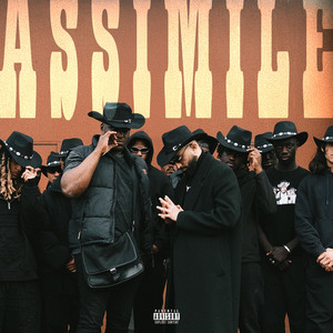 Assimile